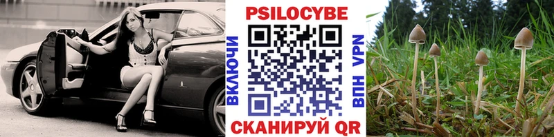 Купить где  Болохово  Галлюциногенные грибы GOLDEN TEACHER 